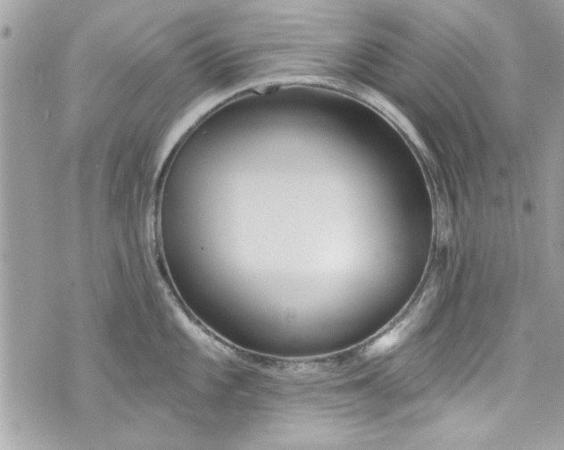 X0000075831101200609291415