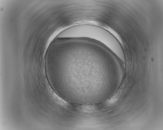 X0000075831102200609291415