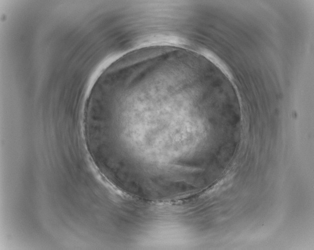 X0000075831104200609291415