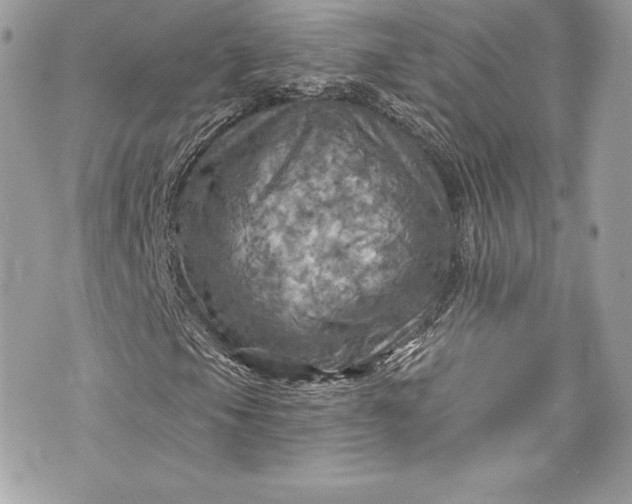 X0000075831105200609291415