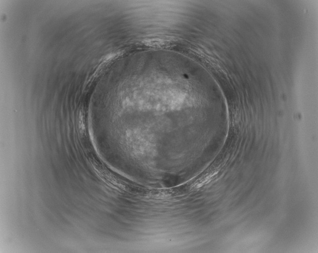 X0000075831106200609291415