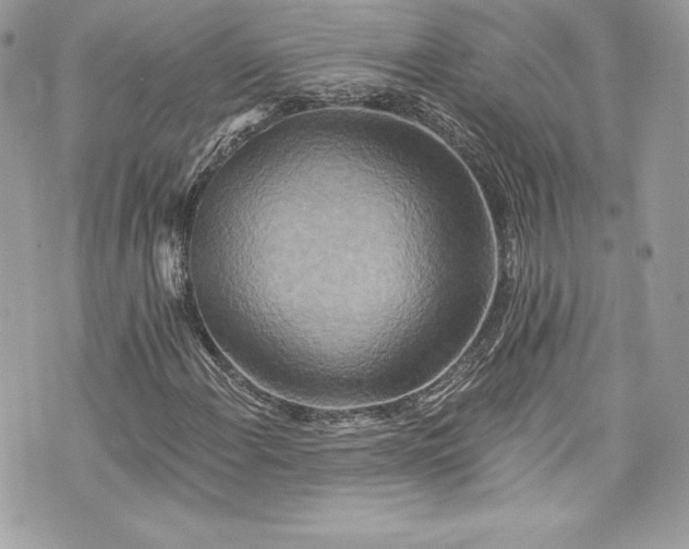 X0000075831108200609291415