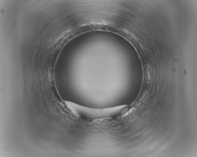 X0000075831110200609291415