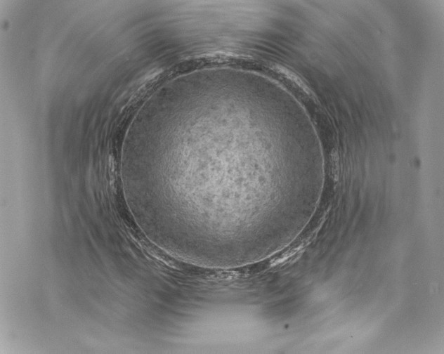 X0000075831111200609291415