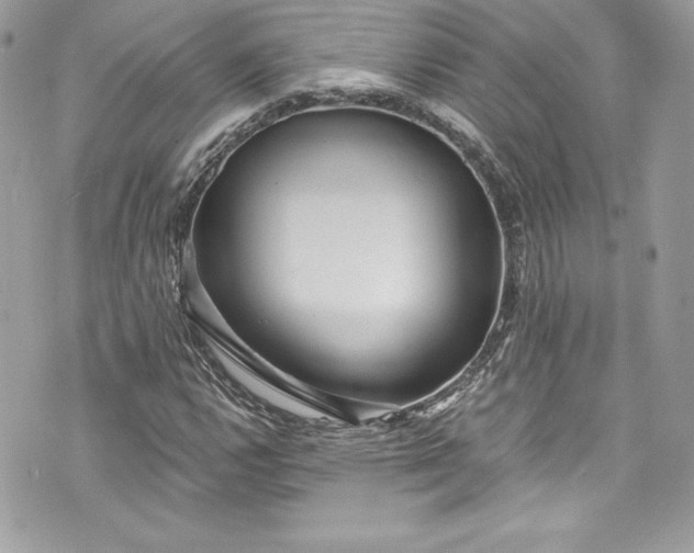 X0000075831112200609291415