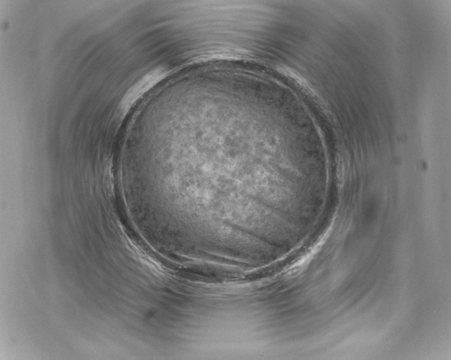 X0000075831113200609291415