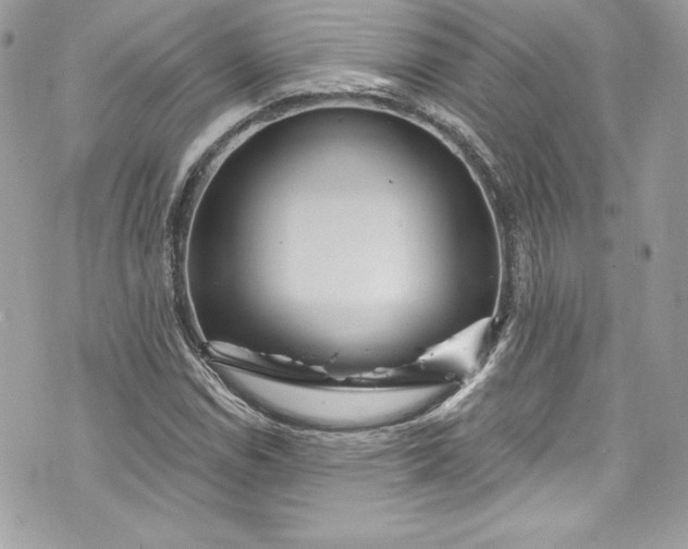 X0000075831114200609291415