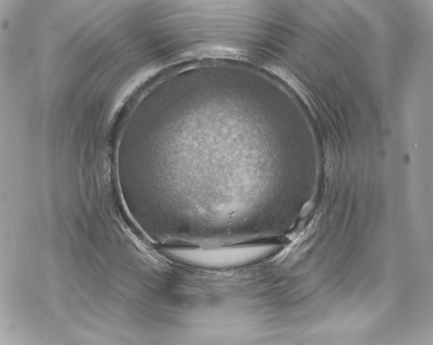 X0000075831115200609291415