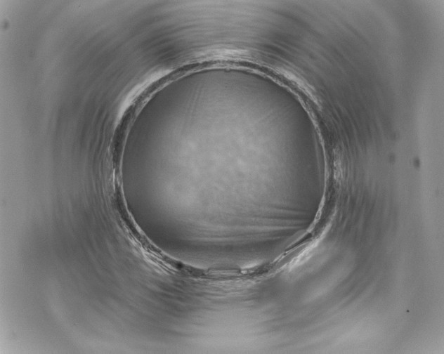 X0000075831117200609291415