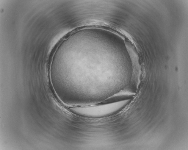 X0000075831120200609291415