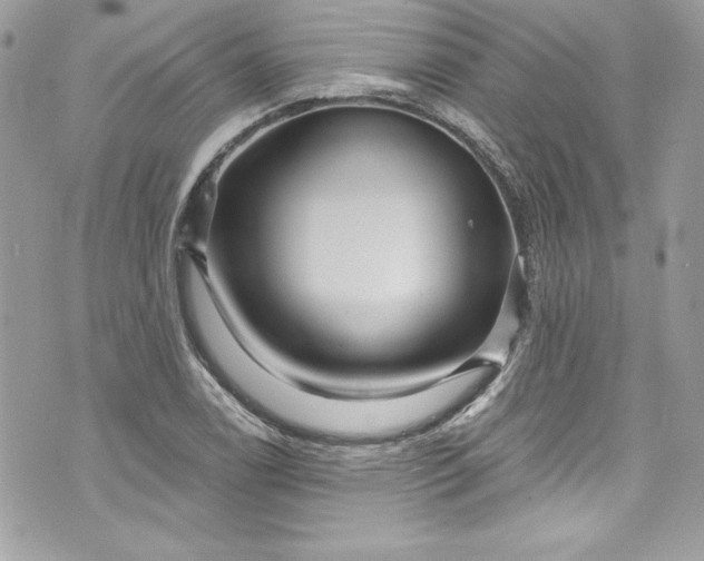 X0000075831122200609291415