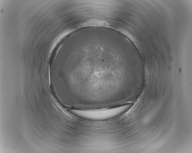 X0000075831123200609291415