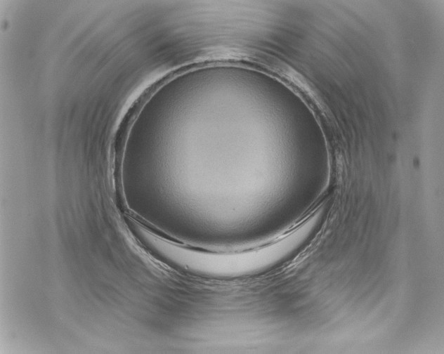 X0000075831124200609291415