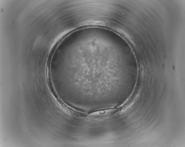 X0000075831125200609291415