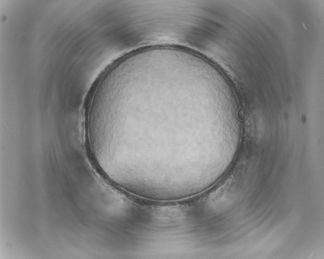 X0000075831126200609291415