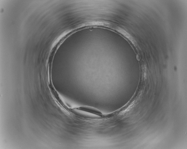 X0000075831127200609291415