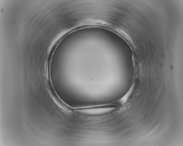 X0000075831128200609291415