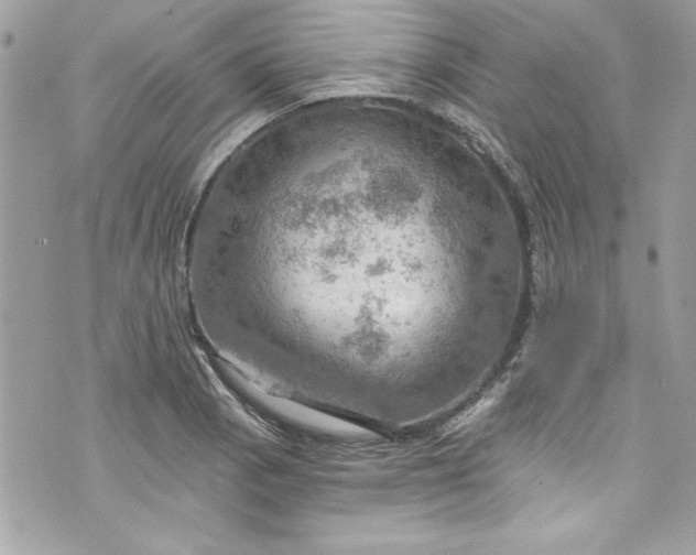 X0000075831129200609291415