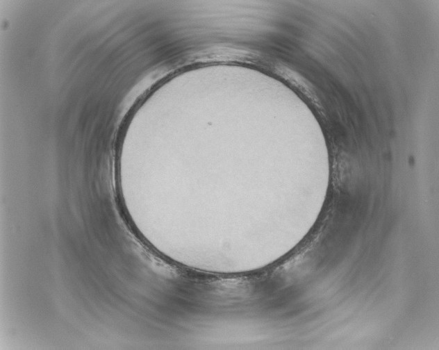 X0000075831130200609291415