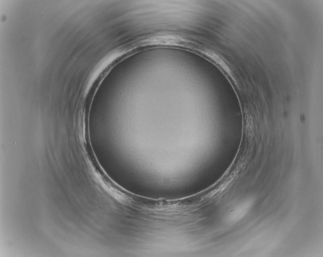 X0000075831131200609291415