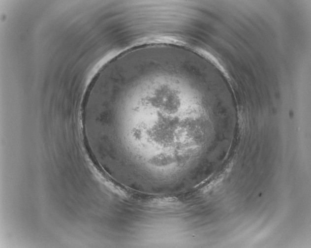 X0000075831133200609291415