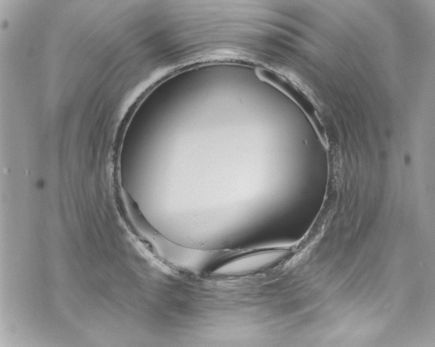 X0000075831134200609291415