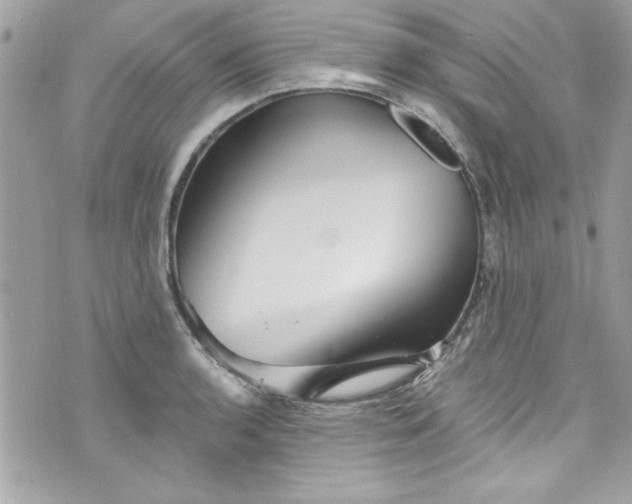 X0000075831136200609291415