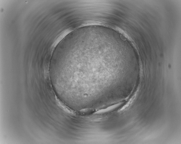 X0000075831137200609291415