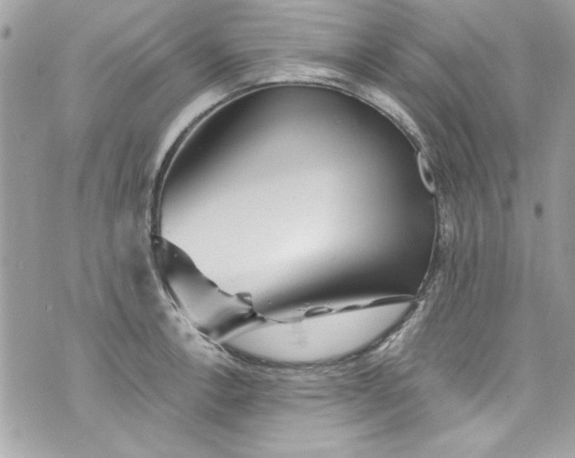 X0000075831138200609291415