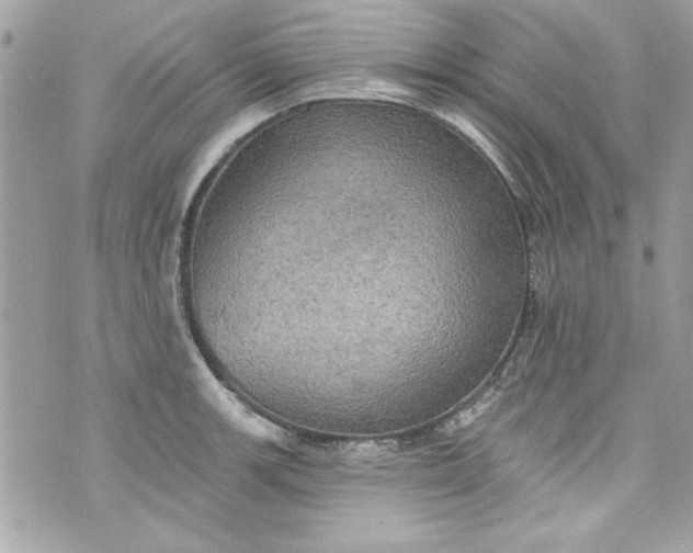 X0000075831139200609291415