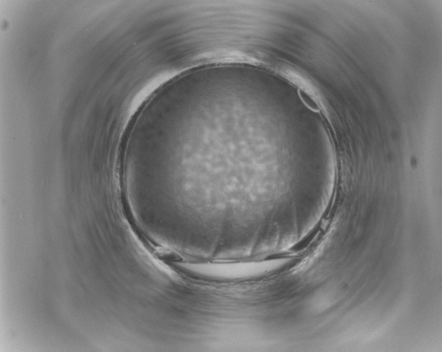 X0000075831141200609291415