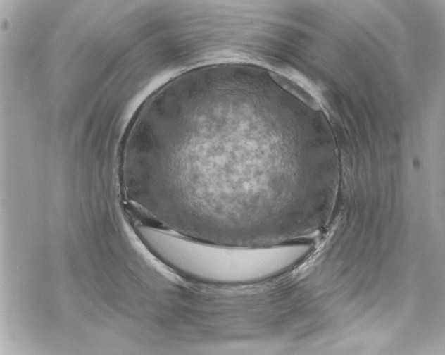 X0000075831142200609291415