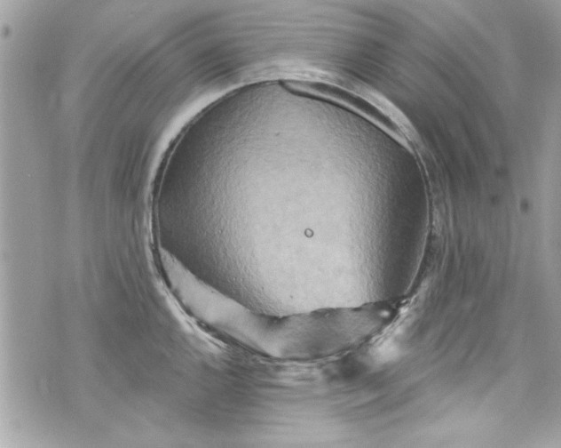 X0000075831144200609291415