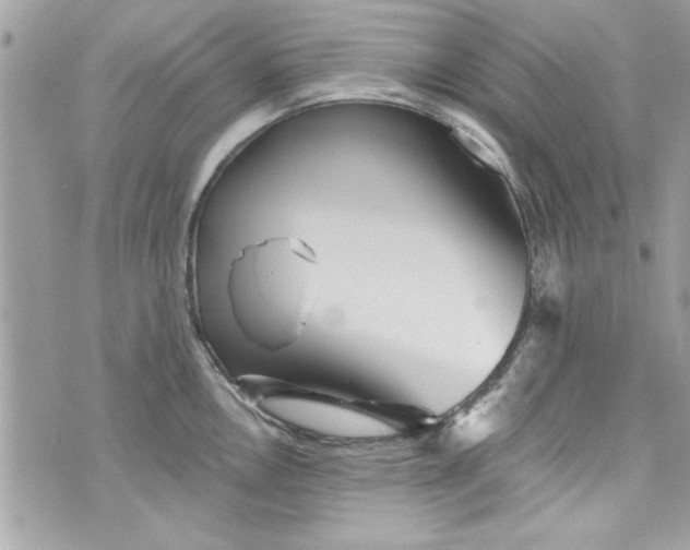 X0000075831146200609291415