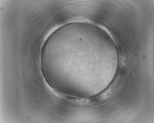 X0000075831147200609291415