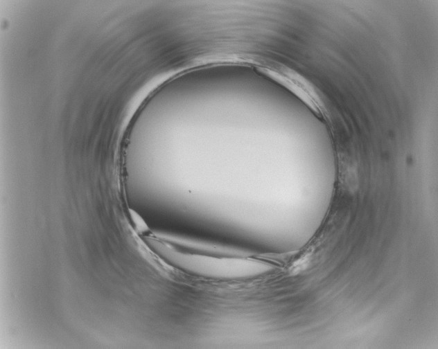 X0000075831148200609291415