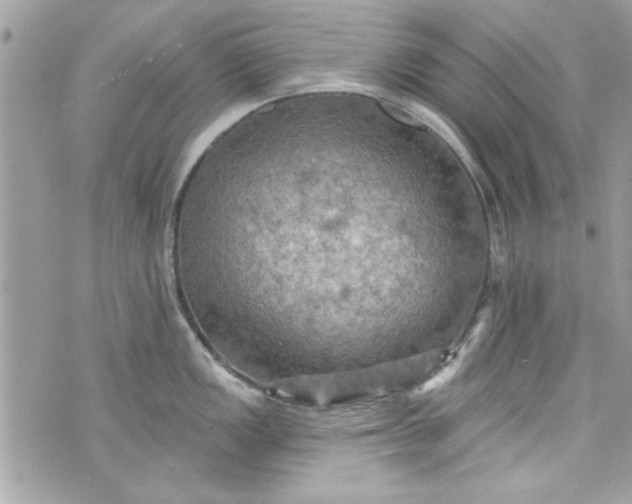 X0000075831149200609291415