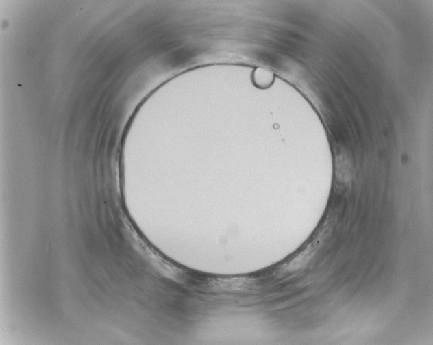 X0000075831150200609291415