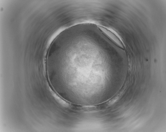 X0000075831151200609291415