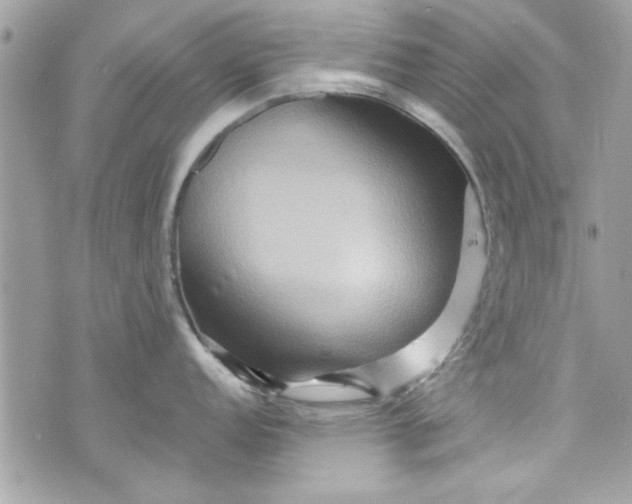 X0000075831152200609291415