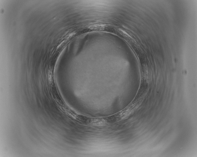 X0000075831154200609291415