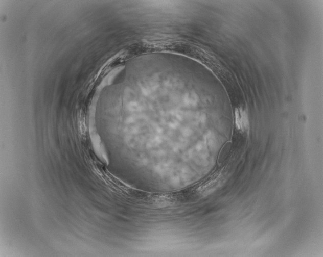 X0000075831155200609291415