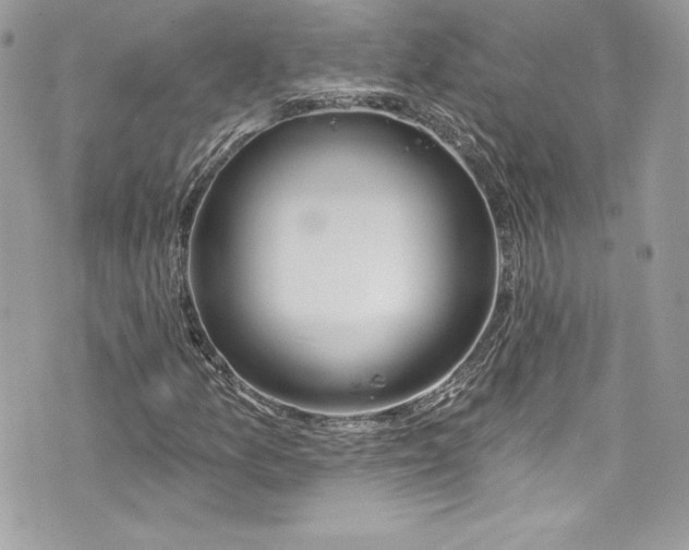 X0000075831157200609291415