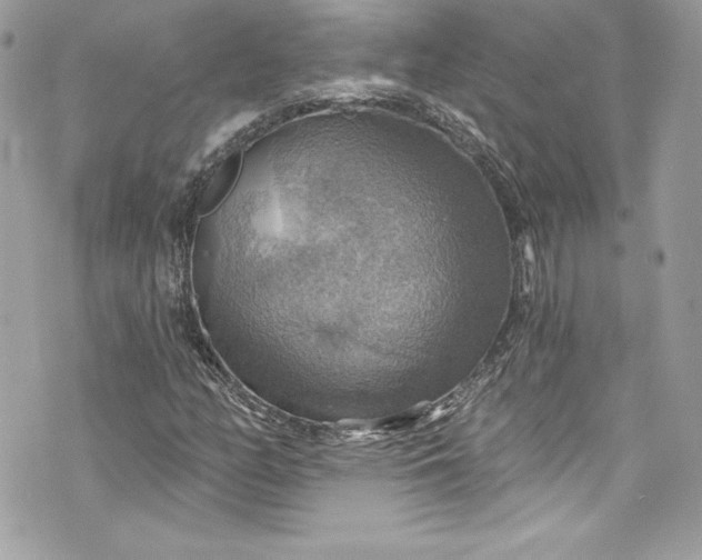 X0000075831158200609291415