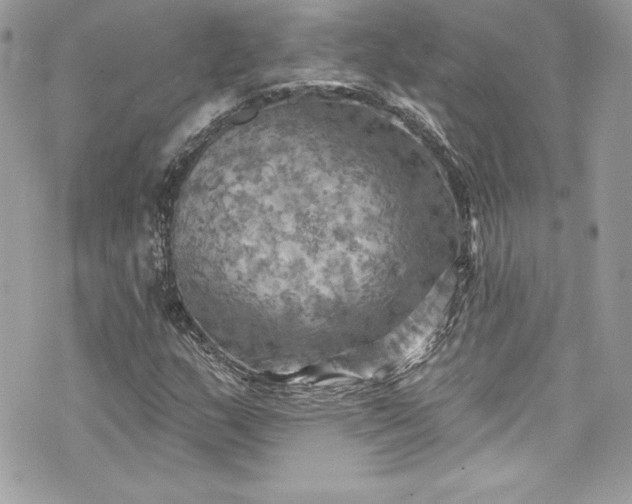 X0000075831159200609291415