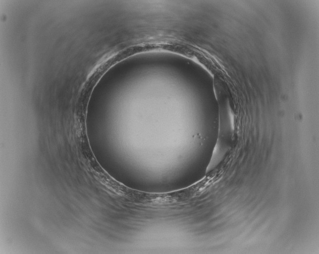 X0000075831160200609291414