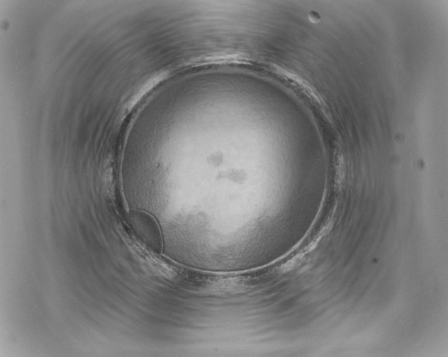 X0000075831162200609291414