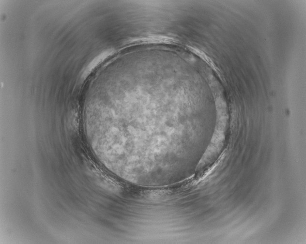 X0000075831163200609291414