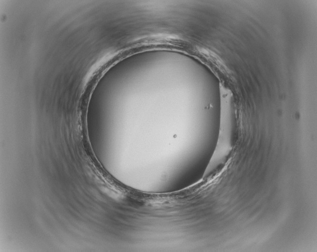 X0000075831164200609291414