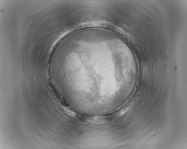 X0000075831166200609291414